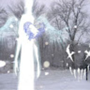 Meet your Posher, Brett